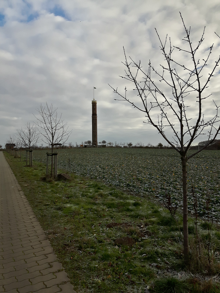 Auf guten Wegen gelangt man zum Aussichtsturm Böhrigen, welchen man schon von Weitem sehen kann