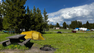 Read more about the article Bridge Bay Campground im Yellowstone National Park – Erfahrungsbericht